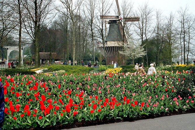 Private Day Trip from Amsterdam to Keukenhof with Entrance Tickets - Price and what $467.26 per person is really buying