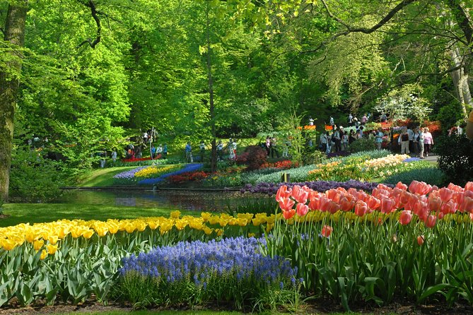 Private Day Trip from Amsterdam to Keukenhof with Entrance Tickets - Queue-jump entry at Keukenhof: less waiting, more seeing