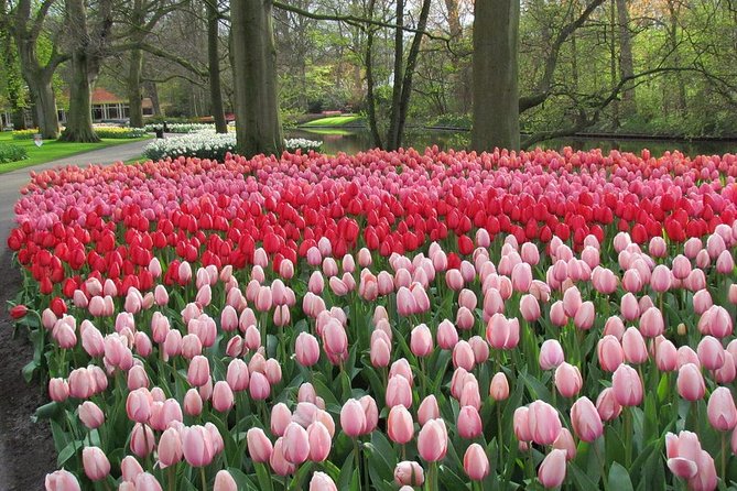 Private Day Trip from Amsterdam to Keukenhof with Entrance Tickets - Inside Keukenhof for about 4 hours: how to avoid the overwhelm