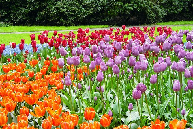Private Day Trip from Amsterdam to Keukenhof with Entrance Tickets - Hotel pickup in the Netherlands: start when you want