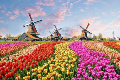 Private Day Trip to Zaanse Schans, Volendam & Marken from Amsterdam - Zaanse Schans windmills and cheese-and-clogs workshops: the real anchor
