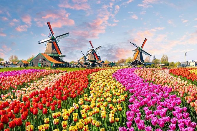 Private Day Trip to Zaanse Schans, Volendam & Marken from Amsterdam - Zaanse Schans windmills and cheese-and-clogs workshops: the real anchor