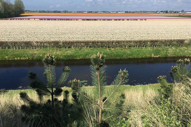 Private daytour from Amsterdam into the Countryside - Cheese and Clogs: What’s Included Versus What You’ll Need to Pay for