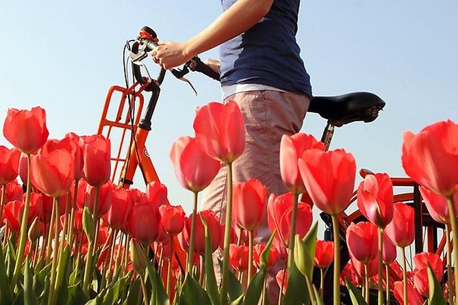 Private Guided Full-Day Customizable Tour of Holland from Amsterdam - Towns and Lunch Stops: Where Dutch Life Feels Real