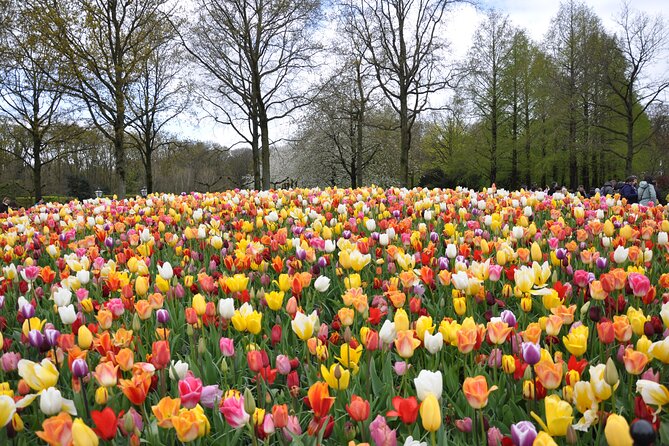 Private Guided Keukenhof Gardens and Zaanse Schans Tour - A Private Amsterdam-to-Tulips Day With Esther