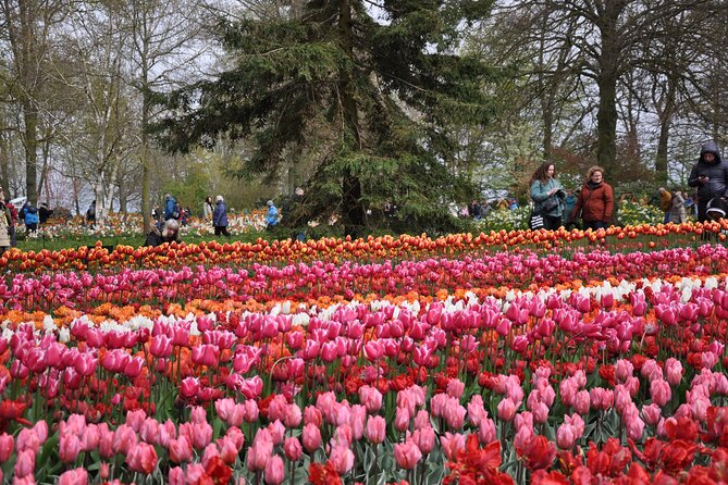 Private Guided Keukenhof Gardens and Zaanse Schans Tour - Kooijman Souvenirs and Clogs Workshop: Watching Wooden Shoes Get Made