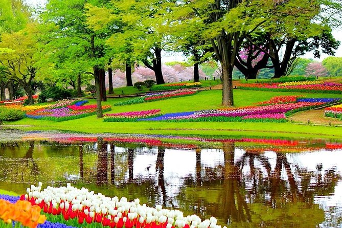 Private Half-Day Trip From Amsterdam to The Tulip Fields in Keukenhof - Hotel pickup and private vehicle: the smooth part of the day