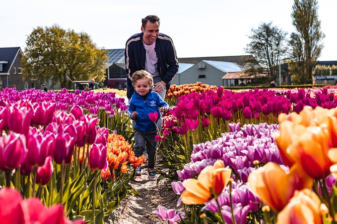 Private Keukenhof Gardens and Tulip Fields Tour from Amsterdam - Timing and Bloom Reality: April Helps, but Plan for a Flower-Weather Variable
