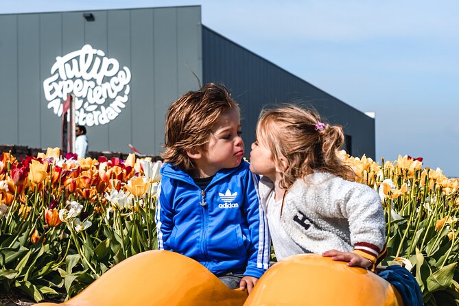 Private Keukenhof Gardens and Tulip Fields Tour from Amsterdam - The Little Details That Make the Day Feel Easy