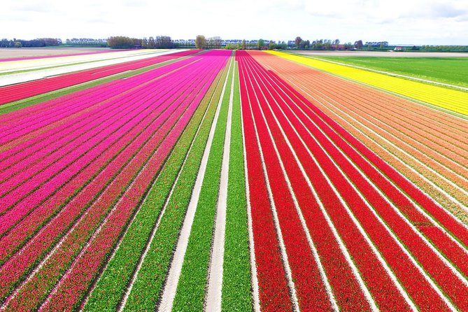 Private Keukenhof Park and Tulip Fields Tour (Skip-The-Line) - Private Pickup in a Mercedes and the Real Meaning of “Private”
