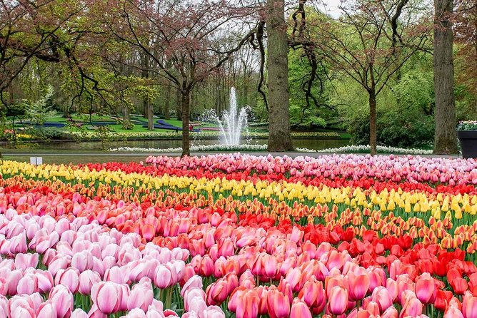 Private Keukenhof Park and Tulip Fields Tour (Skip-The-Line) - Tulip Fields on the Way to Keukenhof: More Than a Drive-by