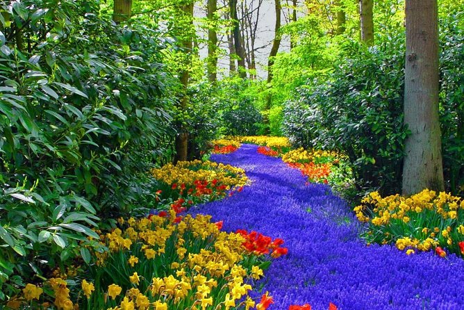 Private Keukenhof Park and Tulip Fields Tour (Skip-The-Line) - Timing: What You Can Actually Do in 5 Hours (Without Stress)