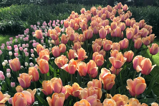Private Tour to the Keukenhof and Tulip Fields - When Flexibility Helps (and When It Doesn’t)