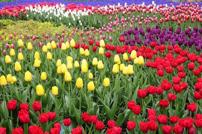 Private Tour to Tulips, Keukenhof, Windmills & Cheese Farm - Keukenhof: the flower park walk (plus time for optional boat views)
