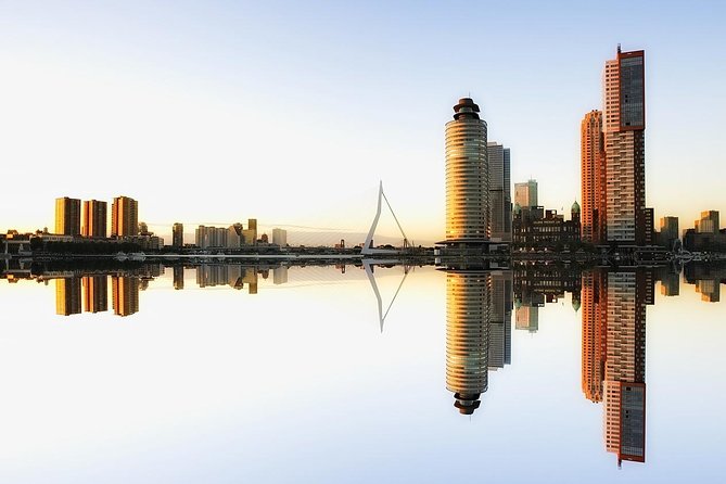 Private Transfer from Amsterdam city center to Rotterdam - Arriving in Rotterdam: What to Do After You Get Dropped Off