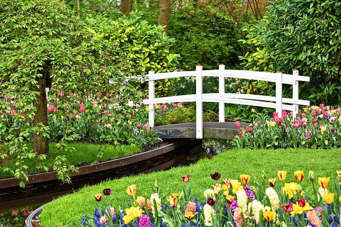 Private Tulip Fields, Windmills and Cheese Tour from Amsterdam - A Private Day Trip With Mercedes Pickup and On-Board Wi‑Fi