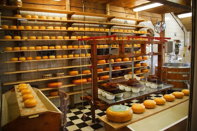 Private Tulip Fields, Windmills and Cheese Tour from Amsterdam - How the Timing Works and What to Bring