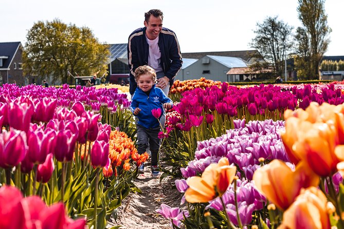Private Tulip Fields, Windmills and Cheese Tour from Amsterdam - Price and Value: When $518.06 Is Actually a Deal