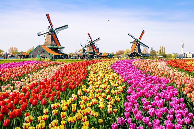 Private Zaanse Schans & Volendam Tour: Windmills, Cheese & Clogs - Volendam: harbor walking, shops, and where the day breathes