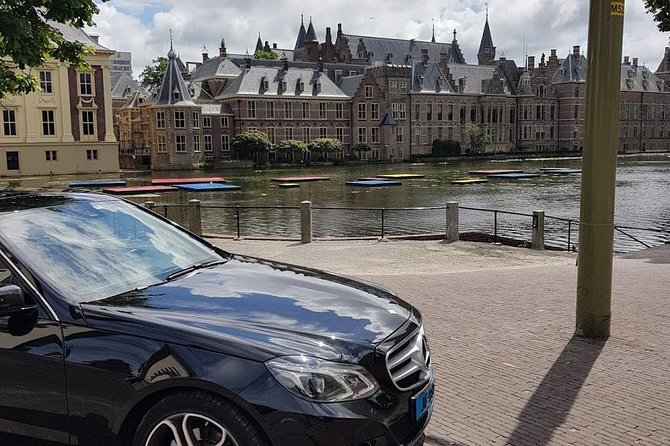 privatetour Delft, The Hague&Rotterdam Kinderdijk from Amsterdam - The Hague power spots: Mauritshuis, Binnenhof & Ridderzaal, and the Peace Palace