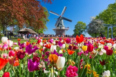 Skip-the-Line Keukenhof Gardens and Tulip Fields Tour from Amsterdam - Entering Keukenhof: easy access and 3 hours to roam