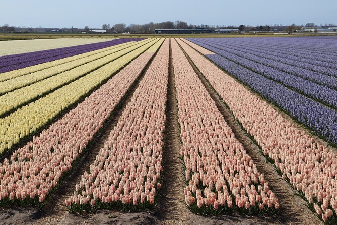 Small Group Keukenhof and Delft Guided Tour from Amsterdam - Starting point and getting your bearings fast