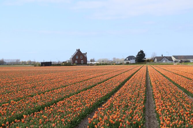 Small Group Keukenhof and Delft Guided Tour from Amsterdam - Lisse flower-bulb fields: quick, close, and sometimes brief