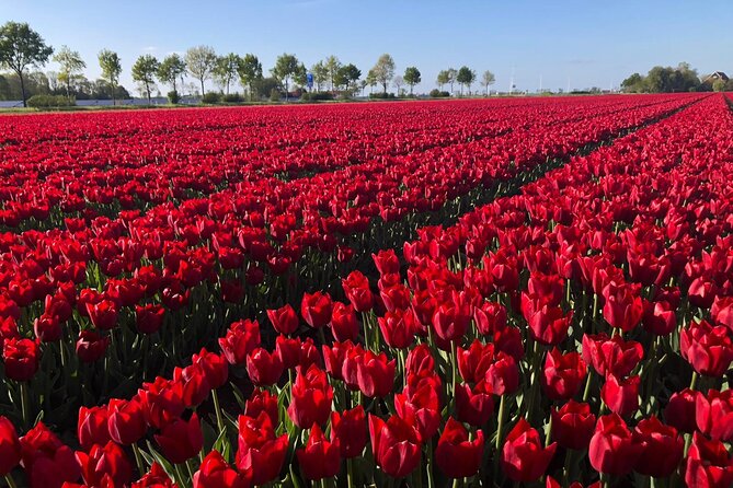 Small Group Keukenhof and Delft Guided Tour from Amsterdam - Delft afternoon: canals, churches, and Delft Blue craft
