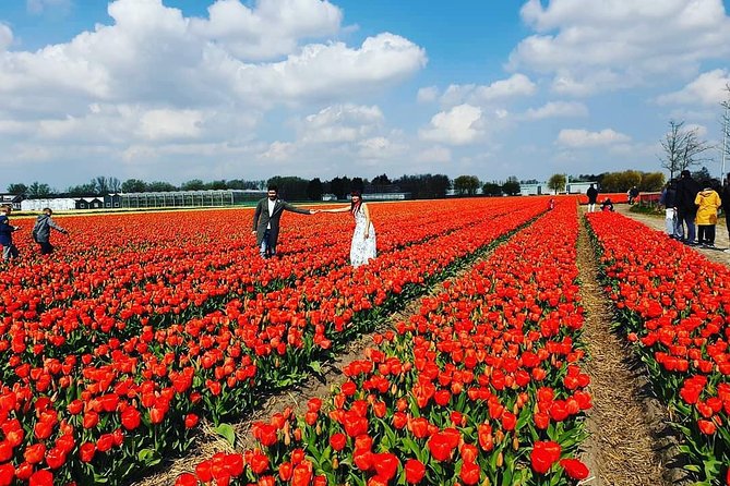 Small Group Keukenhof and Delft Guided Tour from Amsterdam - Group size, vehicle comfort, and the reality of a 9-hour schedule