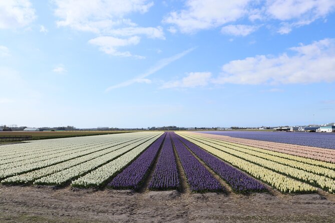 Small Group Keukenhof and Delft Guided Tour from Amsterdam - What you’re paying for: value check in plain numbers