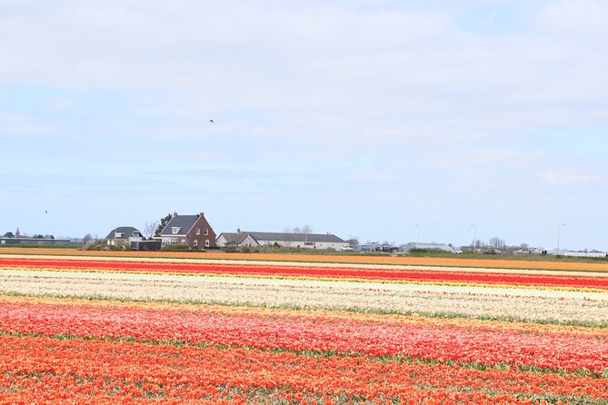 Small Group Keukenhof and Delft Guided Tour from Amsterdam - Who should book this tour (and who should consider alternatives)
