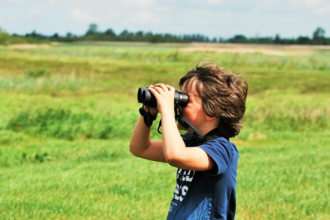 Small Group Tour to NP Hoge Veluwe (van Gogh) from Amsterdam - Who This Trip Fits Best (And Who Might Prefer Something Else)