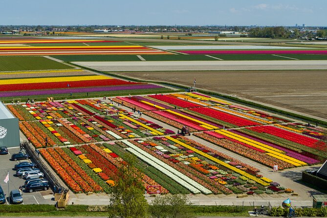 Tour to Giethoorn and Keukenhof Tulip Fields from Amsterdam - Private Mercedes transport and how the driver-host matters