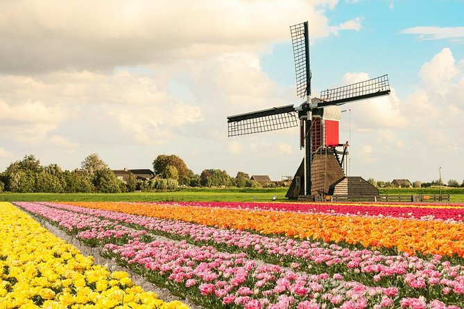 Tulip Experience and Keukenhof Flower Gardens Tour from Amsterdam - Private pickup to Keukenhof: what the day feels like when logistics are handled