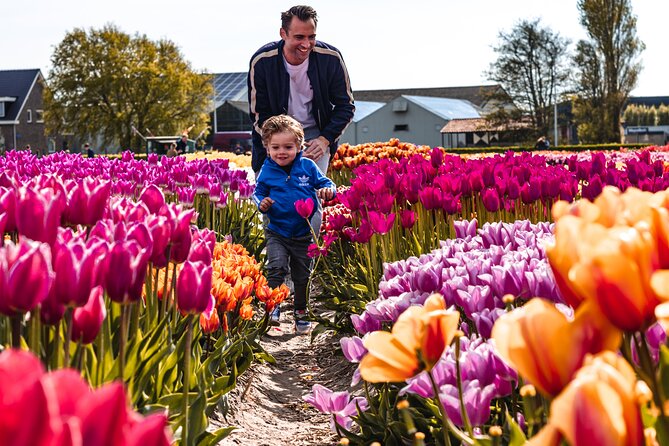 Tulip Experience and Keukenhof Flower Gardens Tour from Amsterdam - Outside show garden: 1 million tulips, 700 varieties, and real photo strategy