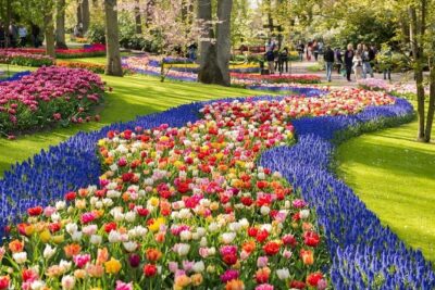 Tulip Experience and Keukenhof Flower Gardens Tour from Amsterdam - Tulip Experience Amsterdam: the museum stop that actually makes the flowers make sense