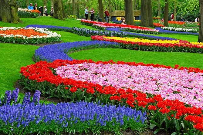 Tulip Experience and Keukenhof Flower Gardens Tour from Amsterdam - Who this tour fits best (and who might want a different style)