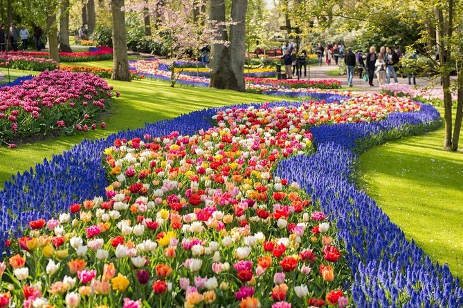 Tulip Experience and Keukenhof Flower Gardens Tour from Amsterdam - Tulip Experience Amsterdam: the museum stop that actually makes the flowers make sense