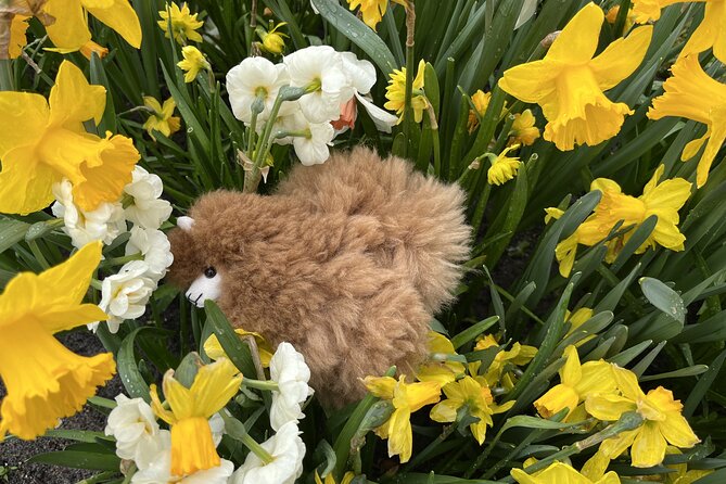 Tulip Paradise: Keukenhof Half-Day Private Tour - Keukenhof arrival at 11:00 AM: what your half-day actually feels like