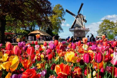 Tulip Paradise: Keukenhof Half-Day Private Tour - The tulip fields drive: photos, windmills, and real context