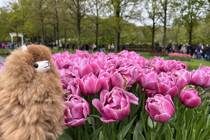 Tulip Paradise: Keukenhof Half-Day Private Tour - Walking Keukenhof at your pace (and why that’s smart)