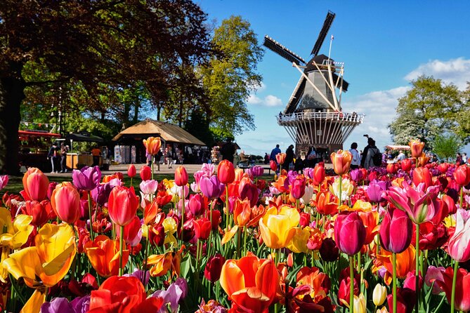 Tulip Paradise: Keukenhof Half-Day Private Tour - The tulip fields drive: photos, windmills, and real context