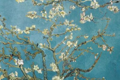 Van Gogh Museum Amsterdam Private Guided Tour With Admission - Getting in fast with pre-booked entry (and what it really changes)