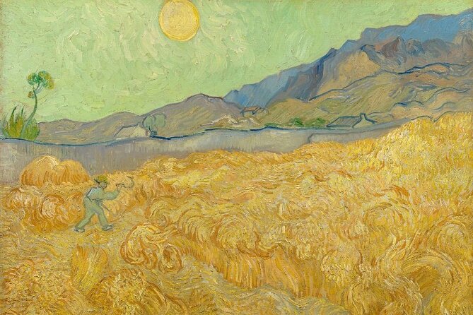 Van Gogh Museum, Small Group Tour (incl timed entry tickets) - Start at Hobbemastraat 18: finding the meeting point fast