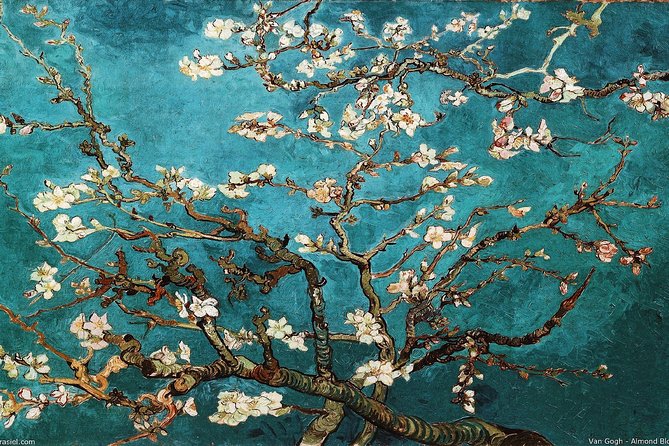 Van Gogh Museum Tour Reserved Entry Semi Private - Ticket included, but what about temporary exhibitions?