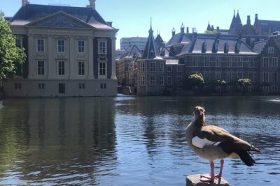 Visit the Girl with the Pearl Earring, The Hague & Delft City - Mauritshuis: why Vermeer’s Girl with a Pearl Earring feels personal