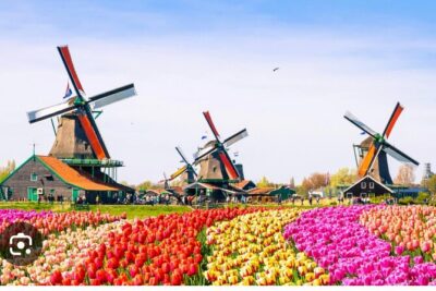 Windmills Country side tour Zaanse Schans-Cheesefactory-Volendam - Jacobs Hoeve Cheese Farm by Henri Willig: Watching the Process and Getting a Free Tasting