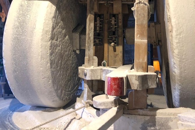 Zaanse Schans Windmills, cheese and clogs and Volendam tour from Amsterdam - Jacobs Hoeve (Henri Willig) cheese farm: robot milking and unlimited tasting