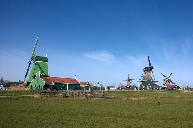 Zaanse Schans Windmills Private Tour from Amsterdam Airport - A layover-friendly way to hit real Dutch windmills